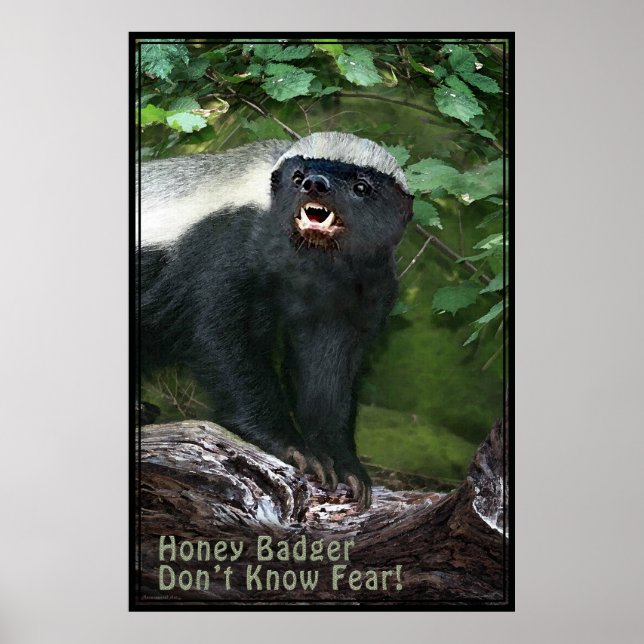 Honey badger V2 Poster -40 x 60 -andra storlekar o (Framsidan)