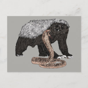 Honey badger verses snake-illustration vykort
