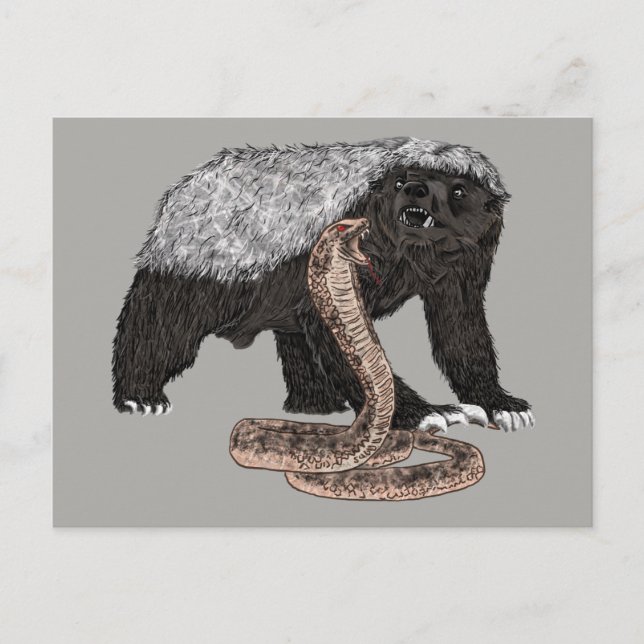 Honey badger verses snake-illustration vykort (Framsida)