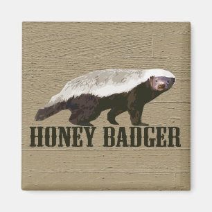 Honey badger Vild Animal Magnet