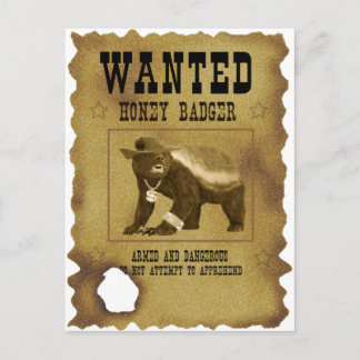 honey badger ville Poster Vykort