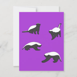 Honey badger vykort