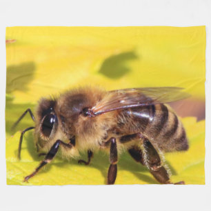 HONEY BEE FLEECEFILT