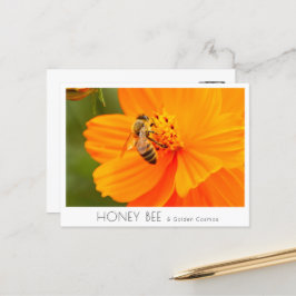 Honey Bee & Golden Cosmos Vykort