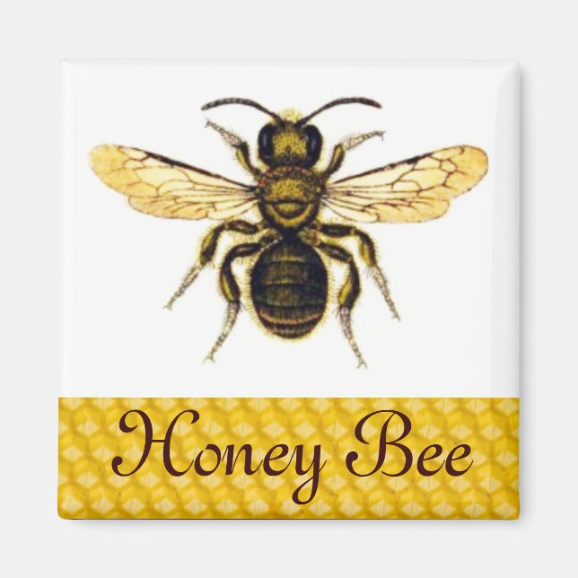 HONEY BEE,KÖPER MAGNET (Framsidan)