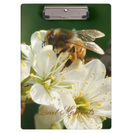 Honey Bee Plum Blossom Nature Study Clipboard