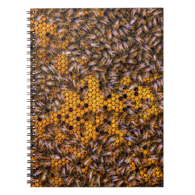 HONEY BEES ANTECKNINGSBOK (Framsidan)