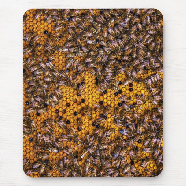 HONEY BEES MUSMATTA (Framsidan)