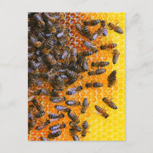HONEY BEES VYKORT