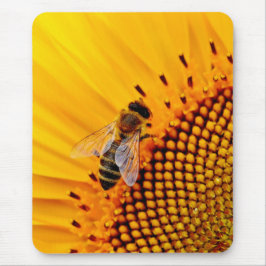 HONEY BES (SUNFLOWER) MUSMATTA