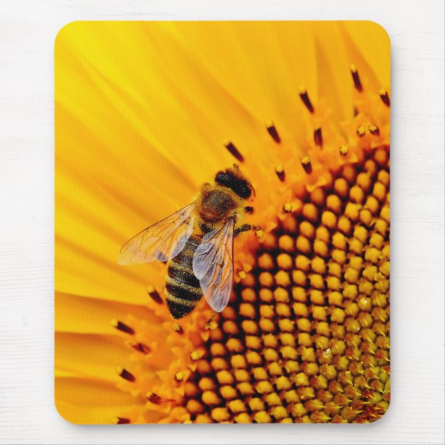 HONEY BES (SUNFLOWER) MUSMATTA (Framsidan)