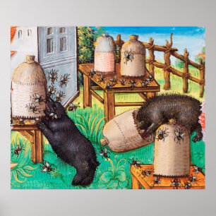 HONEY THIEF BEARS,BEES,BEHIVES Medieval Apiarist Poster