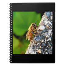 Honeybee 6,5 x 8,75 Spiral bärbar dator