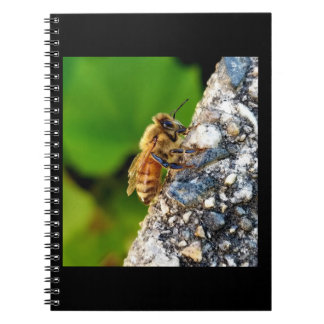 Honeybee 6,5 x 8,75 Spiral bärbar dator Anteckningsbok