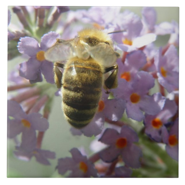 Honeybee and Buddleia Flowers Tile Kakelplatta (Framsidan)