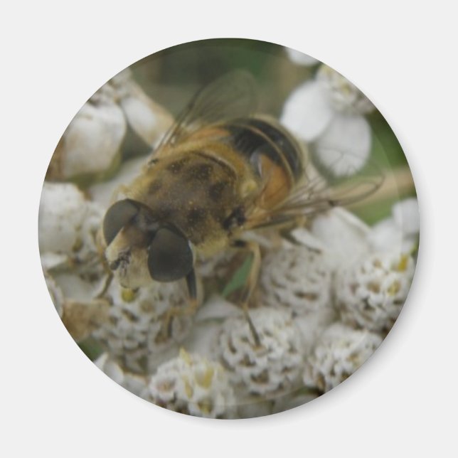 Honeybee and Flowers Magnet (Framsidan)