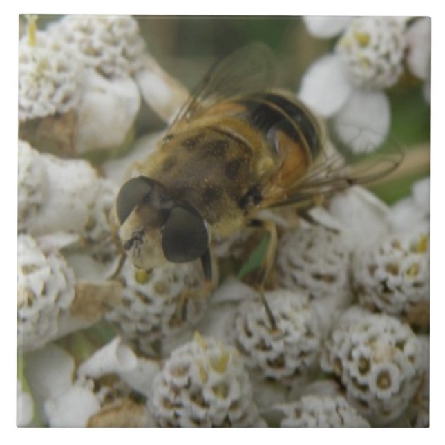 Honeybee and Flowers Tile Kakelplatta (Framsidan)