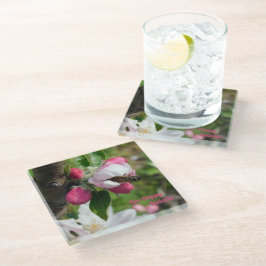 Honeybee & Apple Blossom | Fine Art Glass Coasters