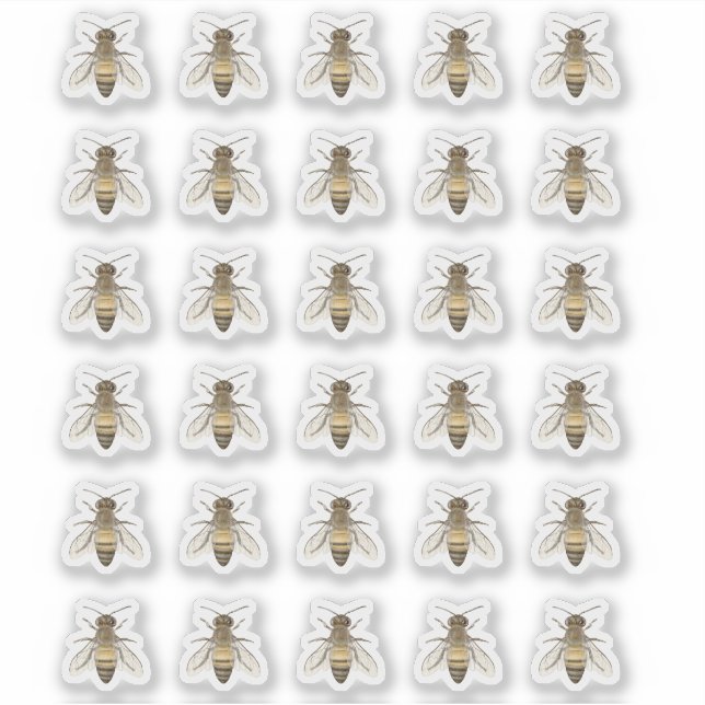 Honeybee Bebier Stickers Klistermärken (Framsida)