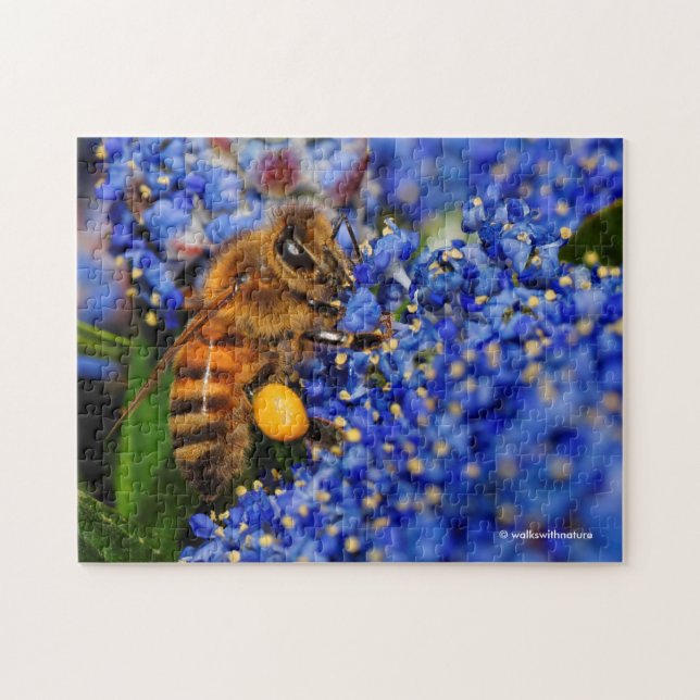 Honeybee: Busy California Lilac Pollinator Pussel (Horisontell)