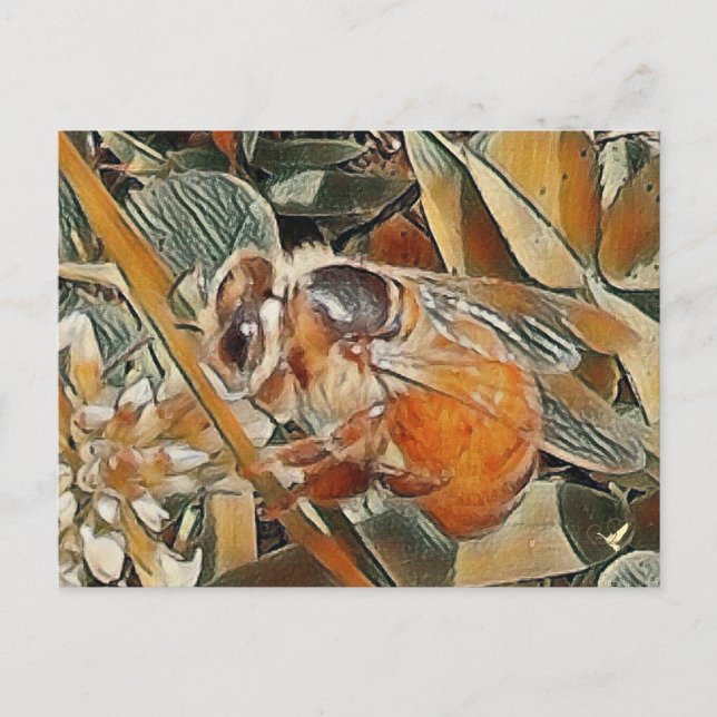 HONEYBEE I KLÖVER - POSTCARD VYKORT (Framsida)