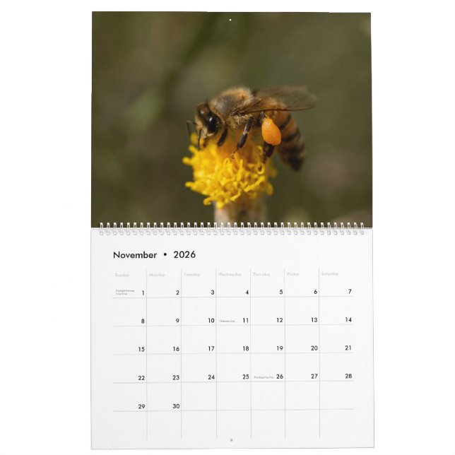Honeybee Kalender (Nov 2026)