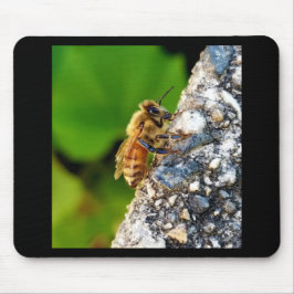 Honeybee Mousepad Musmatta