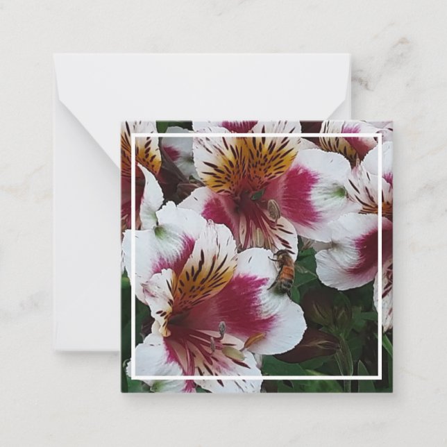 Honeybee och Alstromerias Anteckningskort (Framsida)