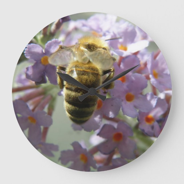 Honeybee och Buddleia Flowers Wall Clock Stor Klocka (Framsida)