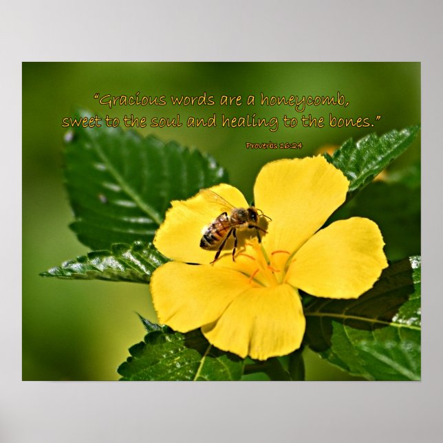 Honeybee on Flower, Proverbs 16:24 Poster (Framsidan)