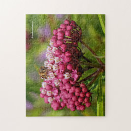 Honeybee on Narrowleaf Milkweed Pussel