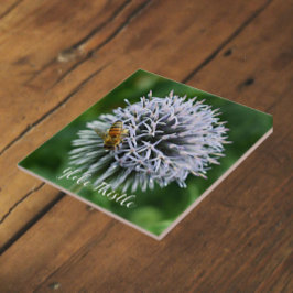 Honeybee på Blommigten Globe Thistle Kakelplatta