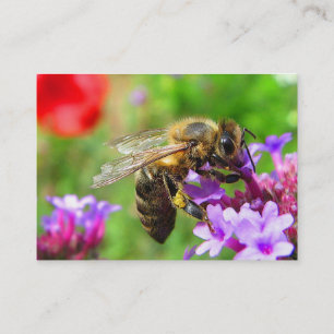 Honeybee på VerbenaATC Visitkort