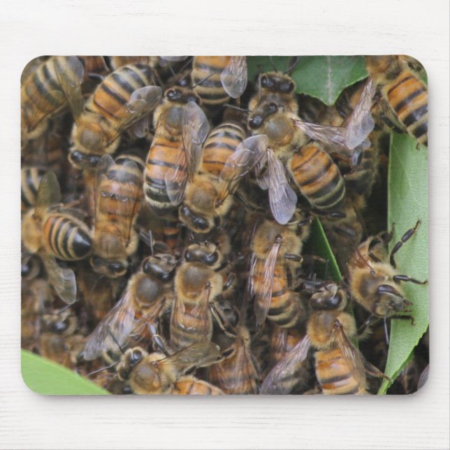 Honeybee Svarme Musmatta (Framsidan)