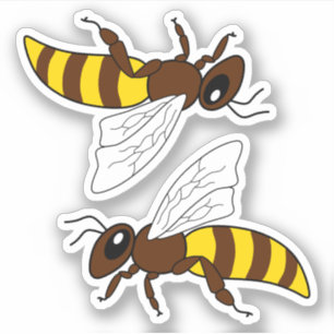 Honeybee Vinyl Stickers Klistermärken