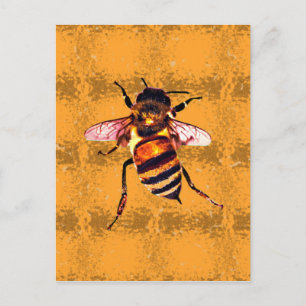 Honeybee Vykort