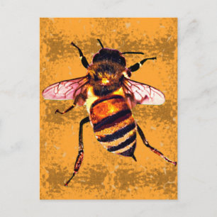 Honeybee Vykort