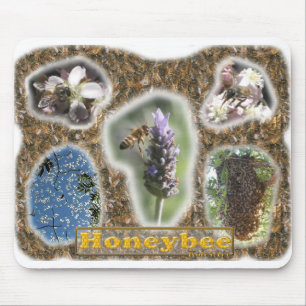 HoneybeefotoCollage Musmatta