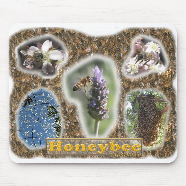 HoneybeefotoCollage Musmatta (Framsidan)