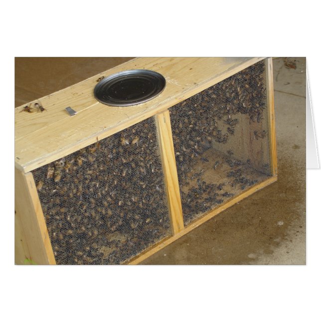 Honeybeepaket OBS Kort (Framsidan Horizontal)
