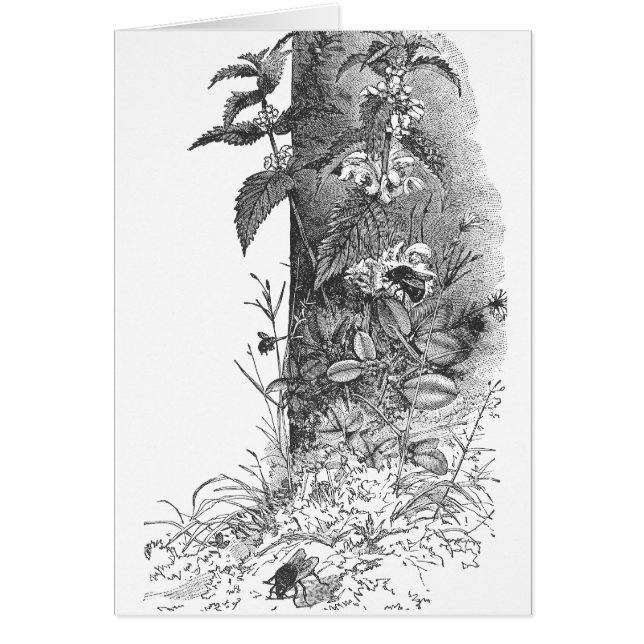 Honeybees frekventerar blommarminten hälsningskort (Framsidan)