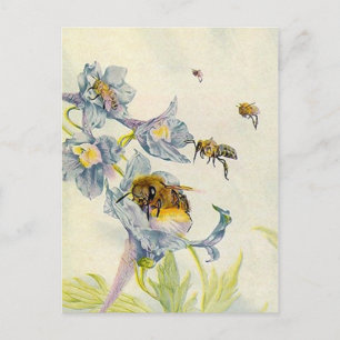 HONEYBEES NATUR KÖPARE HONEYPOSTKART VYKORT