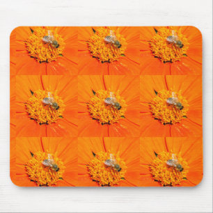 honeybees på orange mousepad musmatta