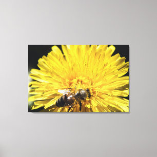 Honeybeon på makrofoto för gult-dandelion canvastryck