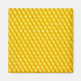Honeycomb Magnet