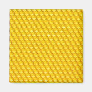 Honeycomb Magnet