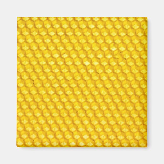 Honeycomb Magnet (Framsidan)