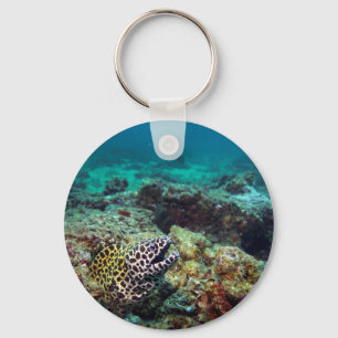 Honeycomb moray eel nyckelring