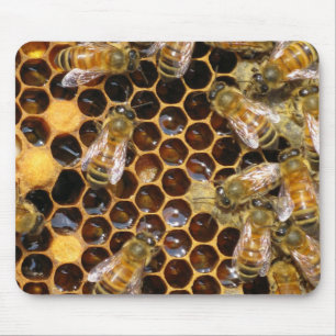 Honeycomb och Bees Mousepad Musmatta