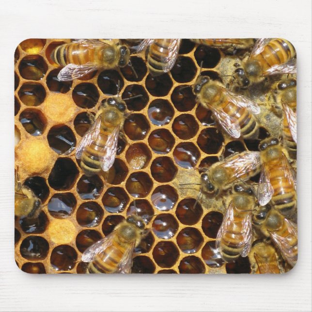 Honeycomb och Bees Mousepad Musmatta (Framsidan)